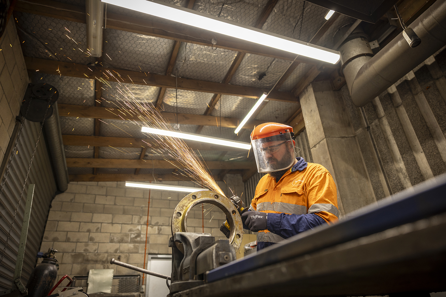 HainesAttract-Genesis-05-25-1340 SMALL