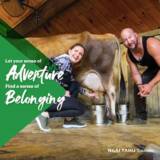 hainesattract_our-work_case-study_ngai-tahu_image2 hainesattract_our-work_case-study_ngai-tahu_image2