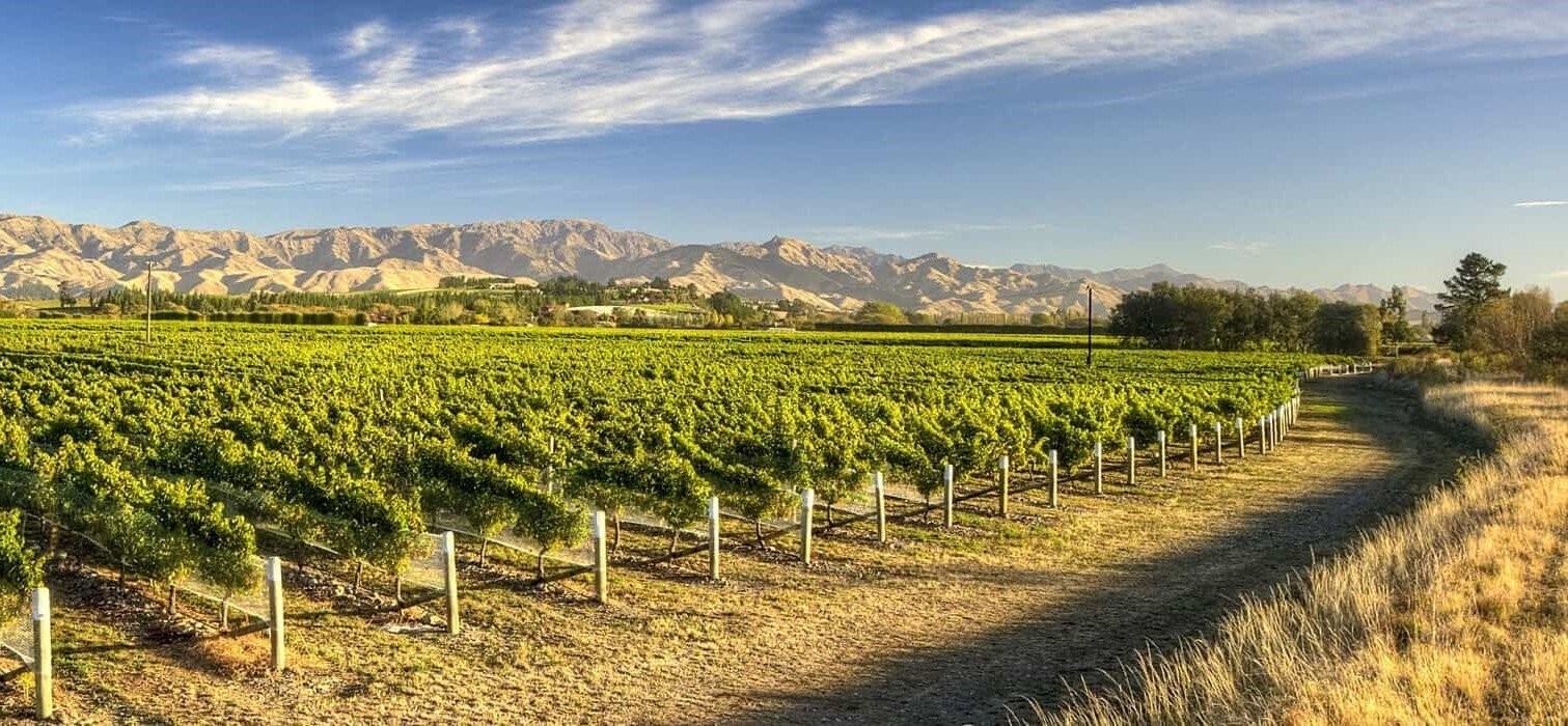 nzwinery-1-2