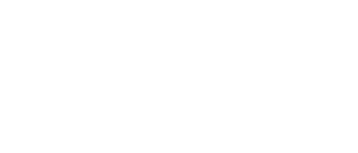 NZ Story